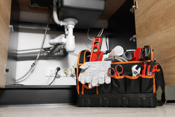 Best Local Plumber Services  in Haskins, OH